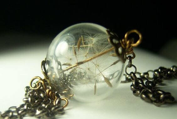 dente-di-leone-in-una-palla-di-vetro