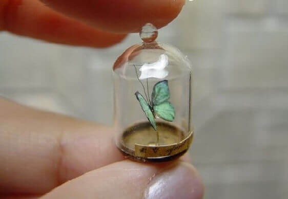 Con l'età diventiamo più selettivi