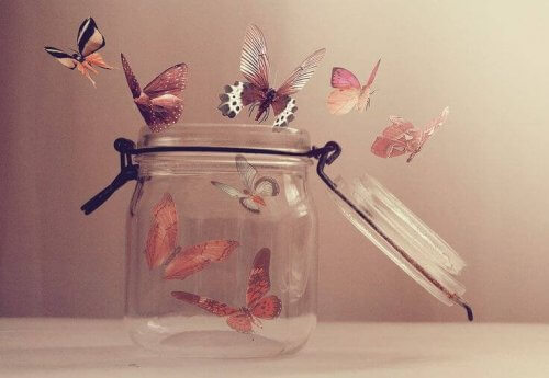 barattolo-con-farfalle