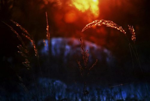 fili-derba-al-tramonto