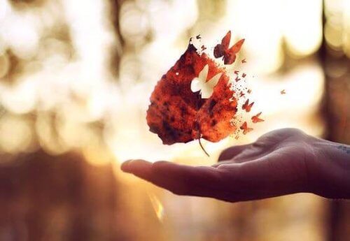 foglia-da-cui-esce-una-farfalla
