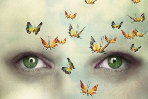 occhi-verdi-e-farfalle