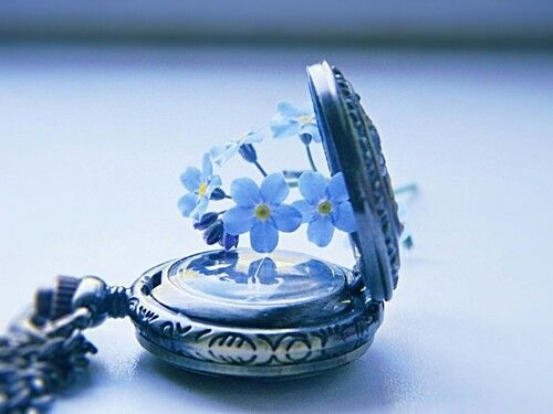 orologio-e-fiori-azzurri