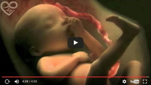 9 mesi di gravidanza in un meraviglioso video di 4 minuti