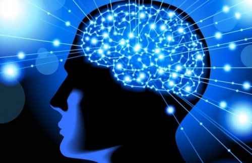 Neuroscienza cognitiva: comprendere il comportamento della mente