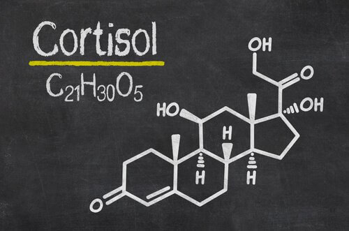 Il cortisolo: l’ormone dello stress