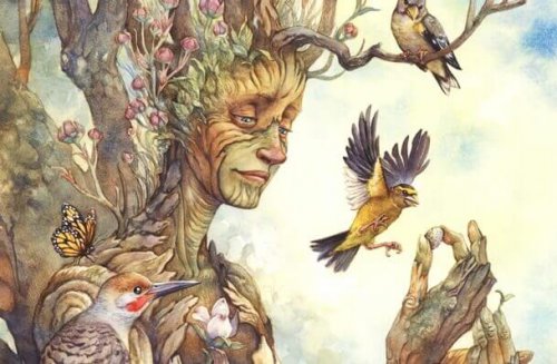 Cosa possono insegnarci gli alberi sul raggiungimento della felicità?