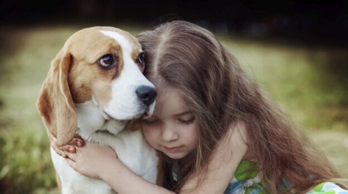 L'empatia dei cani: un potere curativo
