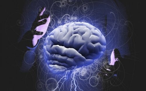 Gli emisferi del cervello umano