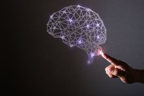 Neurofelicità: cervello ed emozioni