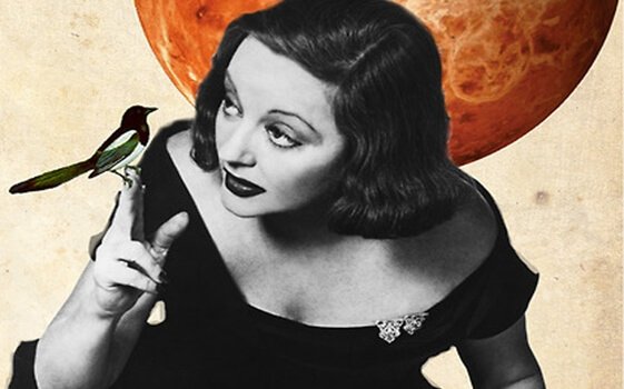 Alcune persone considerano la propria opinione una "verità universale"