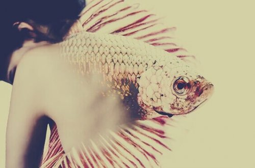 Voltare le spalle è incapacità di assumersi le responsabilità