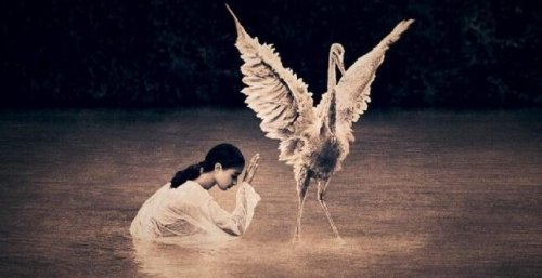 Frase di Laozi sulla felicità