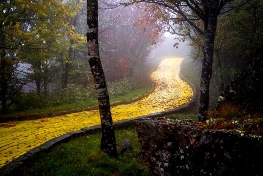 sentiero dorato