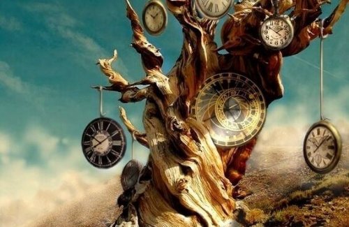 Albero con orologi che scandiscono il nostro tempo