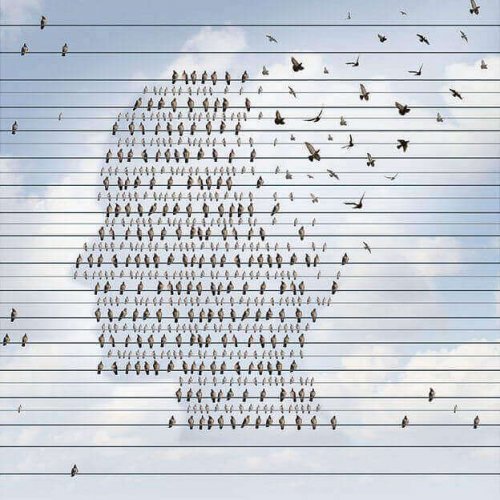 rappresentazione dell'apprendimento e curva dell'oblio