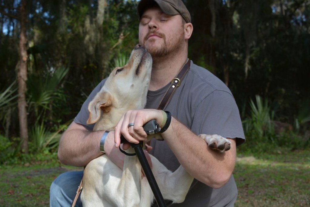 Uomo e cane guida l'empatia dei cani