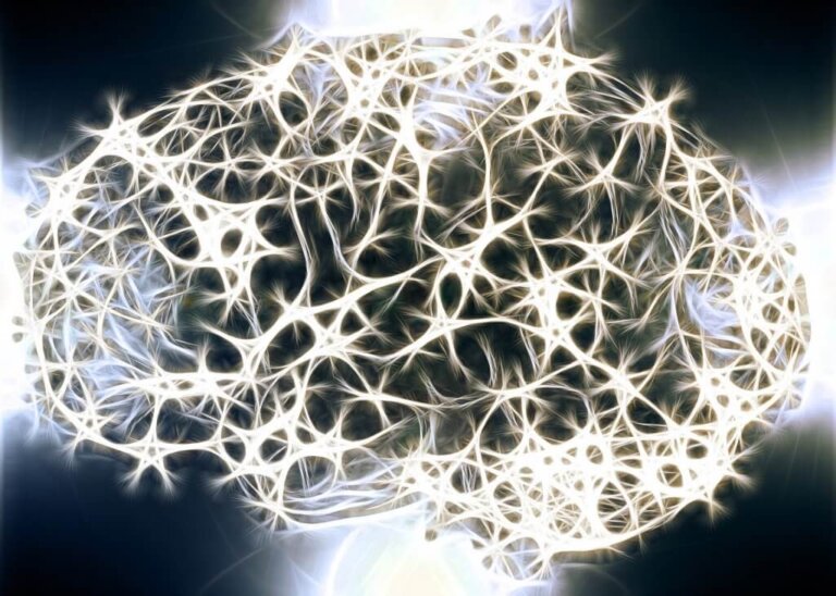 Sostanza bianca del sistema nervoso: perché è così importante?