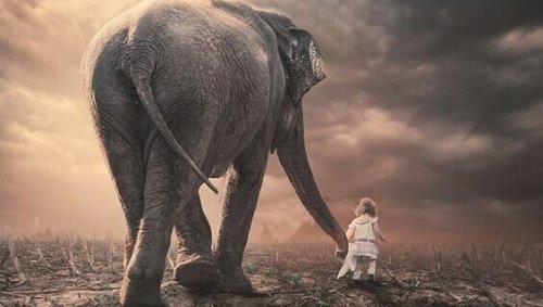 Elefante e bambina