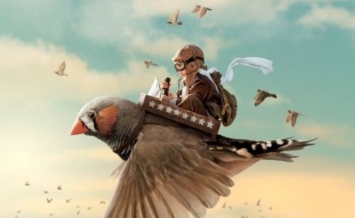 Bambino che vola sopra un uccello