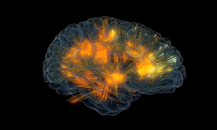 Cervello che rappresenta la psicologia della connessione