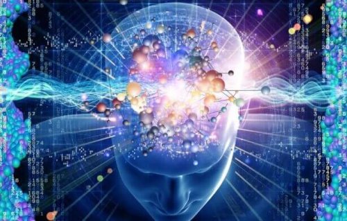 Neurofeedback e cervello