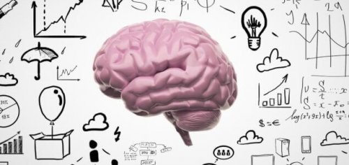 Cervello e nuovi ricordi