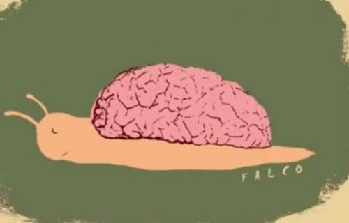 Chiocciola con cervello sulla schiena