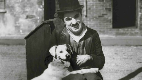 Charlie Chaplin con un cane