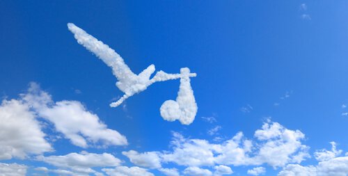 Nuvola a forma di cicogna che porta un neonato