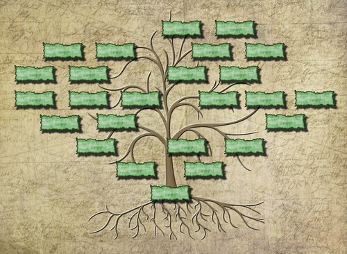Disegno albero genealogico