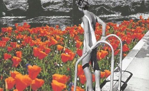 Donna in una piscina di fiori