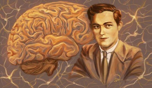 3 casi clinici che hanno cambiato la nostra idea del cervello umano