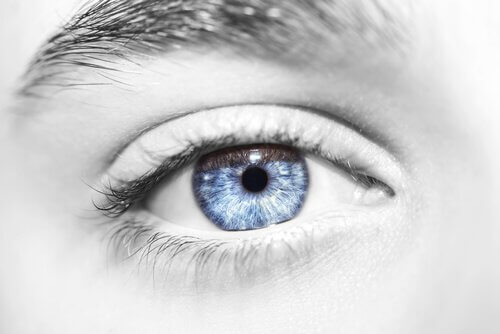 Occhio azzurro