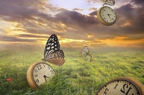 Orologi in un prato con farfalle