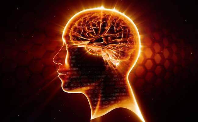 Omega 3: il miglior neuroprotettore