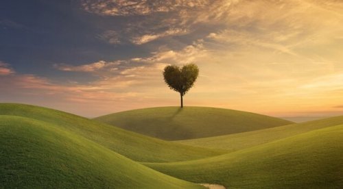 Albero a forma di cuore che rappresenta la scelta di cosa fare con la nostra vita