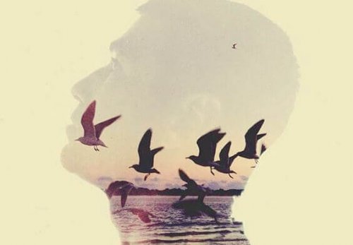 Profilo di uomo e gabbiani