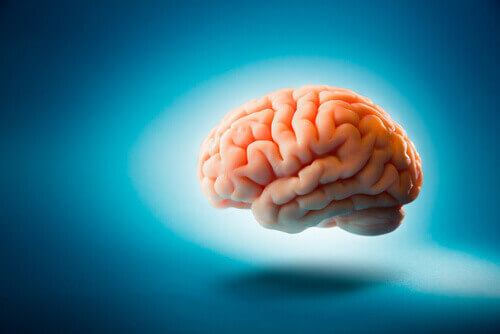Miti sul cervello che ci confondono da anni