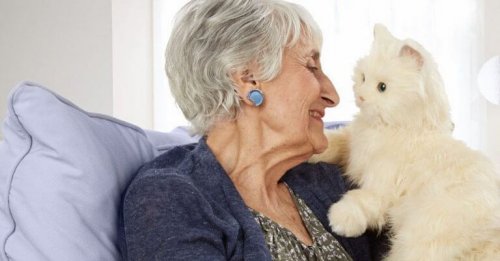 Signora anziana con gatto