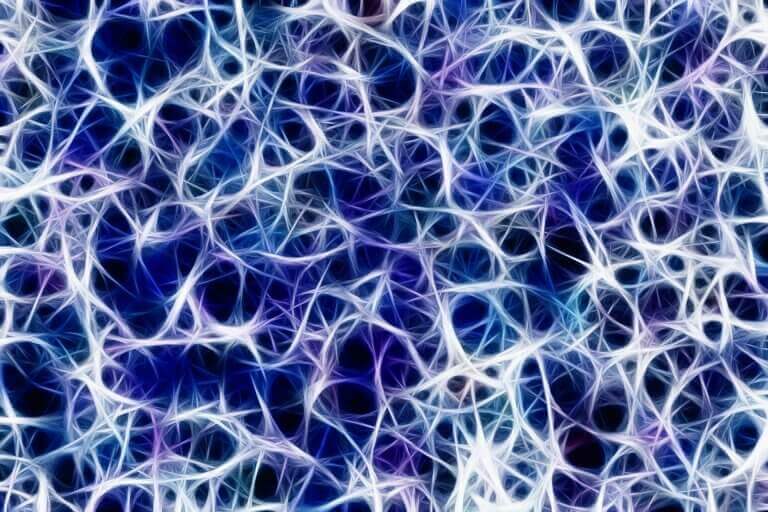 Sinapsi di neuroni