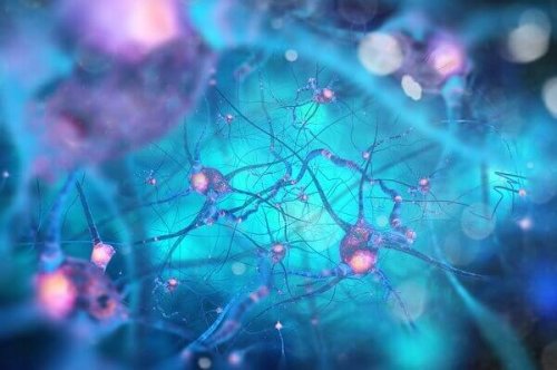 Neuroni