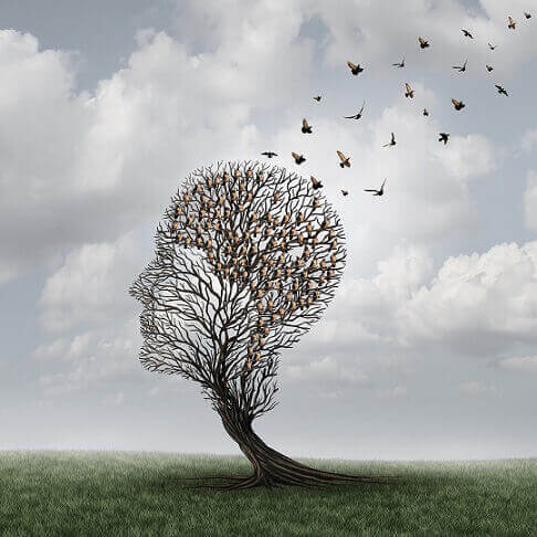 Albero a forma di testa