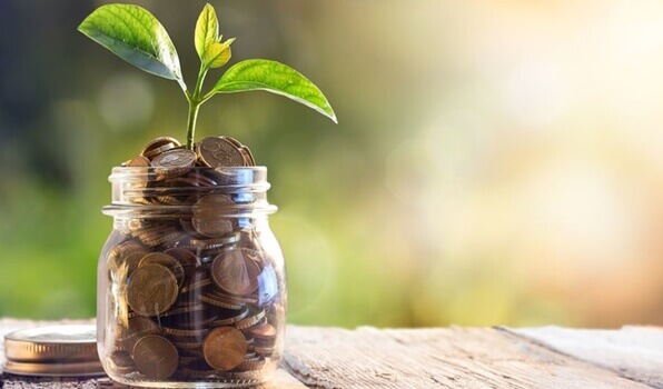 Barattolo con monete e pianta