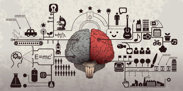 Cervello e psicologia pubblicitaria