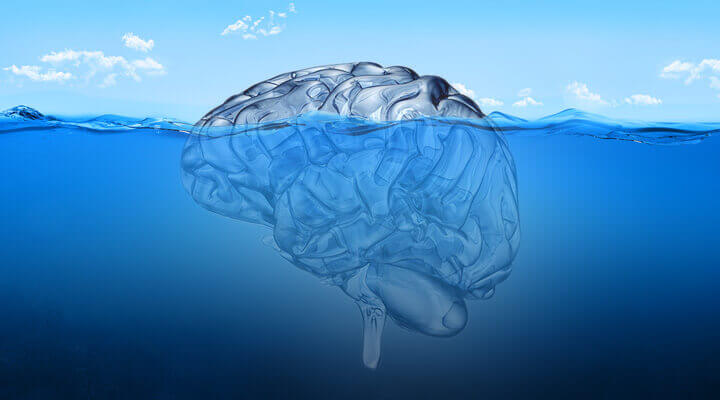 Cervello in acqua