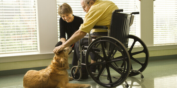 Persona sulla sedia a rotelle e cane