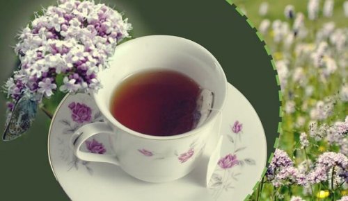 Valeriana, un ansiolitico naturale