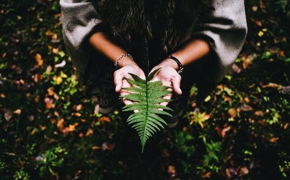 Il senso della vita con calma e pazienza