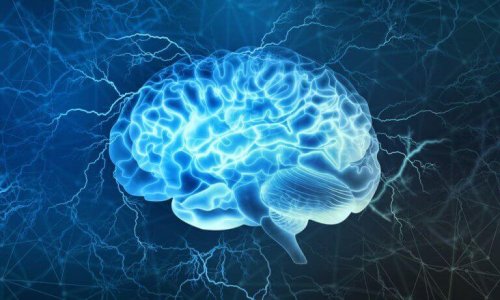 Cervello illuminato